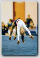 Click on this image to view it larger.